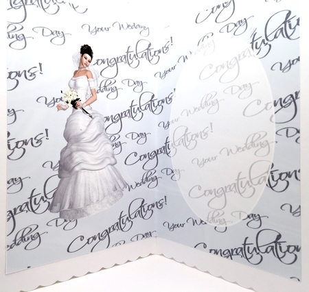 Elegant Bride Insert 2 by Elena Pavlova