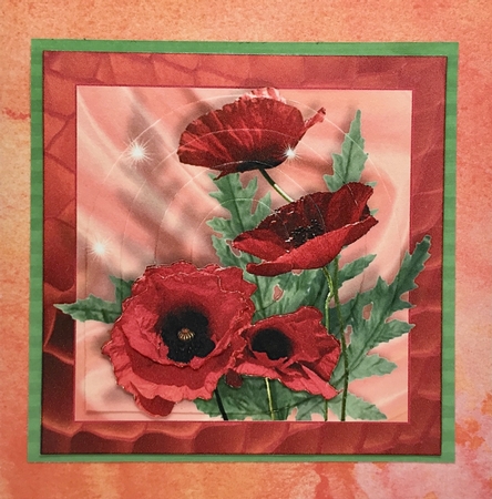 Poppies by Elena Pavlova