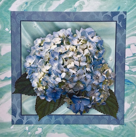 Beautiful Blue Hydrangea by Elena Pavlova