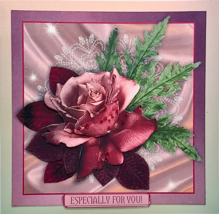A Gorgeous Rose for a Gorgeous Person by Elena Pavlova
