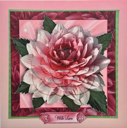 Gorgeous Dahlia by Elena Pavlova