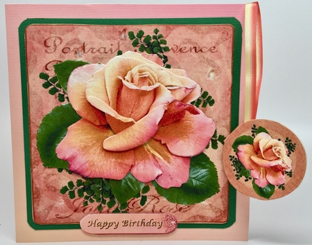 My Own Rose by Elena Pavlova