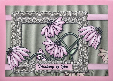 In the Pink by Elena Pavlova