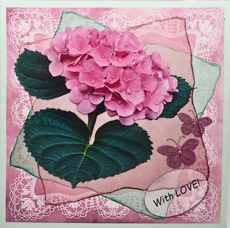 Pink Hydrangea (hortensia) by Elena Pavlova