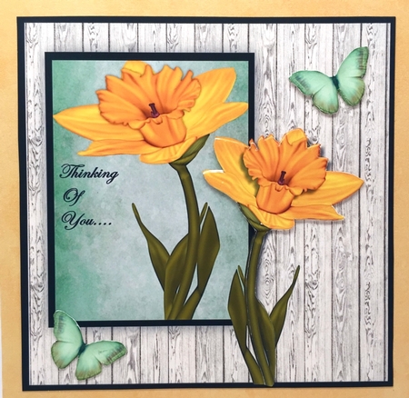 Sympathy Thinking of You by Elena Pavlova