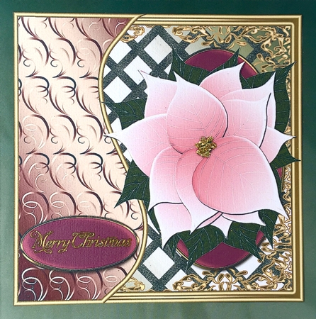 Pink Poinsettia Card Front 4 by Elena Pavlova