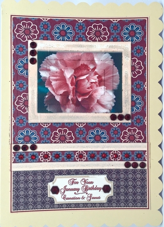Birthstone and Birth Flower - January by Elena Pavlova