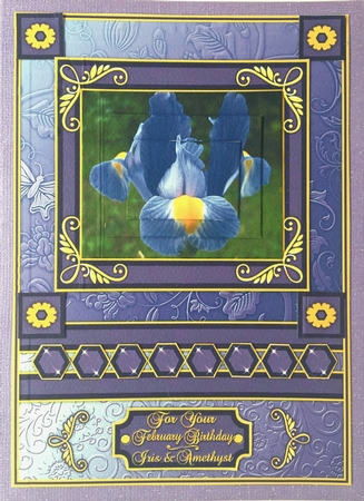 Birthstone and Birth Flower - February by Elena Pavlova