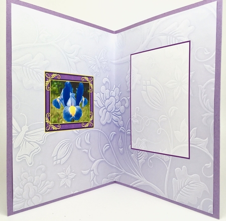 Birthstone and Birth Flower - February Insert by Elena Pavlova