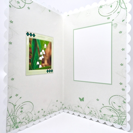Birthstone and Birth Flower - May Insert by Elena Pavlova