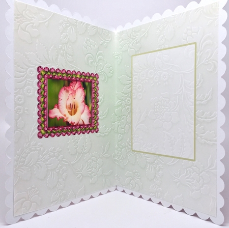 Birthstone and Birth Flower - August Insert by Elena Pavlova