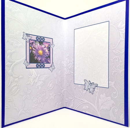 Birthstone and Birth Flower - September Insert by Elena Pavlova