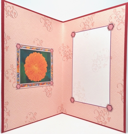Birthstone and Birth Flower - October Insert by Elena Pavlova