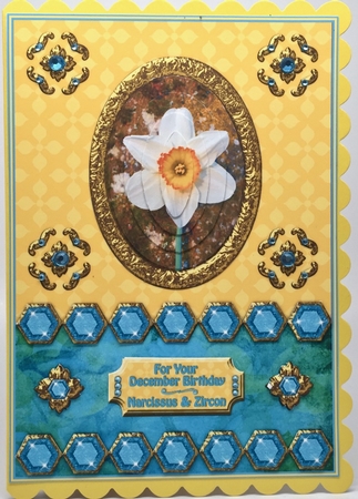 Birthstone and Birth Flower - December by Elena Pavlova
