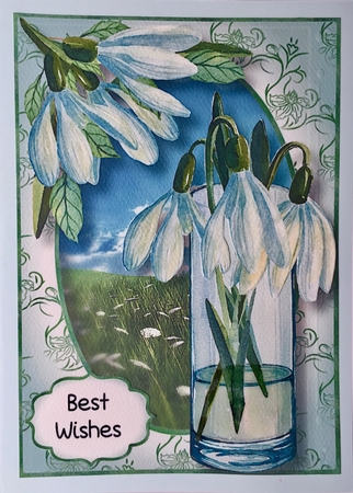 Snowdrops From My Garden A5 by Elena Pavlova