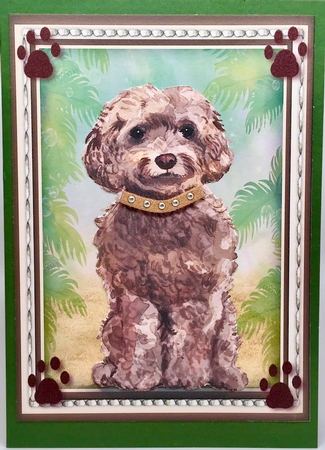 Beautiful Brown Cockapoo by Elena Pavlova