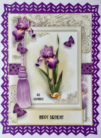 Set Of 4 A5 Flora and Flutters Bumper Kit by Elena Pavlova