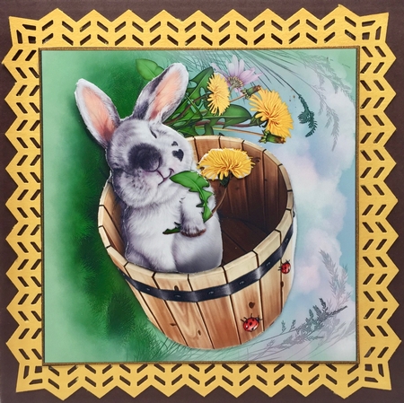 Bunny in a Tub    by Elena Pavlova