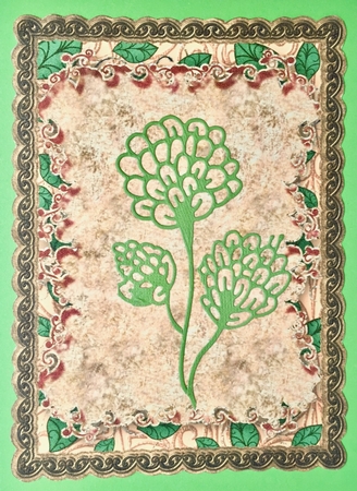 Card Base & Blank Card Front With Swirls and Leaves Set 11 by Elena Pavlova