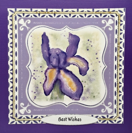 PURPLE IRIS: 7x7 4 Sheet Mini Kit With Decoupage, Insert, 10 Sentiment Tags, Bonus Gift Tag, Background Paper & Commercial Use by Elena Pavlova
