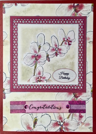 ORCHID BACKGROUND: A4 Orchid Floral Background/Backing Paper, With Commercial Use by Elena Pavlova