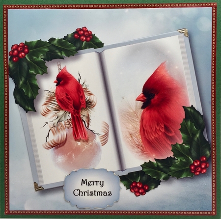 Open Book Christmas - Red Cardinal 8x8 by Elena Pavlova