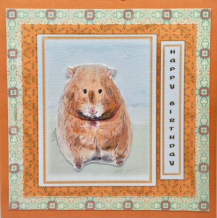 HAMSTER BIRTHDAY CARD: 7x7, With Hamster Decoupage,Extra Blank Sentiment Tag, & Commercial Use by Elena Pavlova