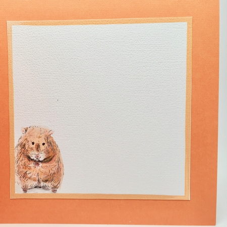 HAMSTER BIRTHDAY CARD: 7x7, With Hamster Decoupage,Extra Blank Sentiment Tag, & Commercial Use by Elena Pavlova