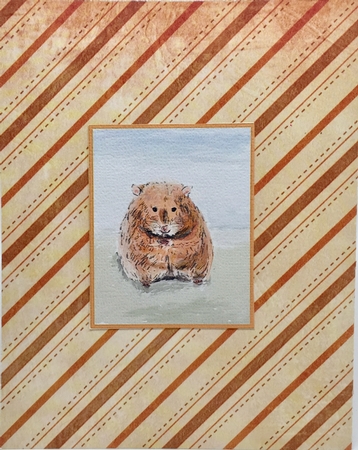 HAMSTER INSERTS: 5x5, One Blank, One with Birthday Verse, Plus Mini Gift Tag & Commercial Use by Elena Pavlova