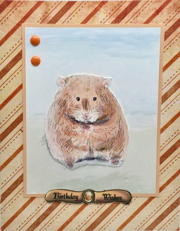 HAMSTER INSERTS: 5x5, One Blank, One with Birthday Verse, Plus Mini Gift Tag & Commercial Use by Elena Pavlova