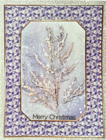 Christmas Glitter Frames  by Elena Pavlova