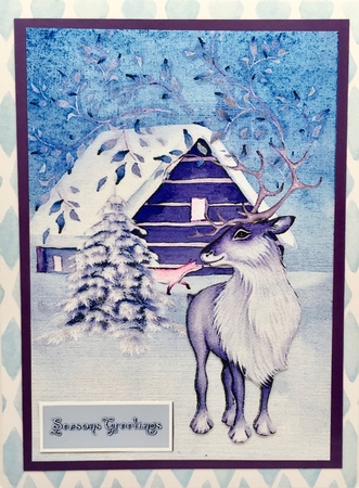Christmas Night Quick card/Topper by Elena Pavlova