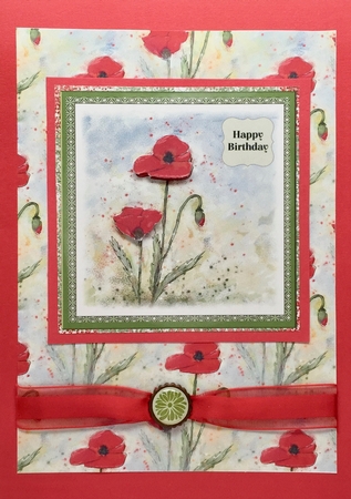 POPPIES  BACKING PAPER/BACKGROUND: A4 With Commercial Use by Elena Pavlova
