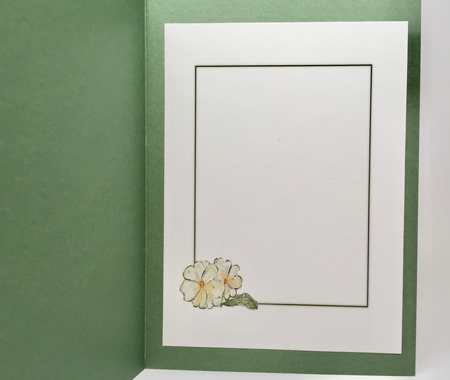 3 PRIMROSE FLORAL INSERTS: For Birthdays/Other Occasions, 1 Blank, 2 With Verse. by Elena Pavlova