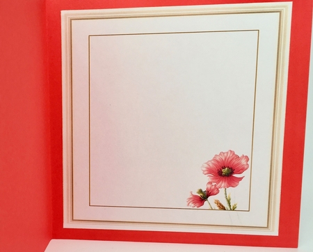 Insert For Watercolor Poppies by Elena Pavlova