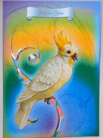 Vintage Birds 12, Cockatoo by Elena Pavlova