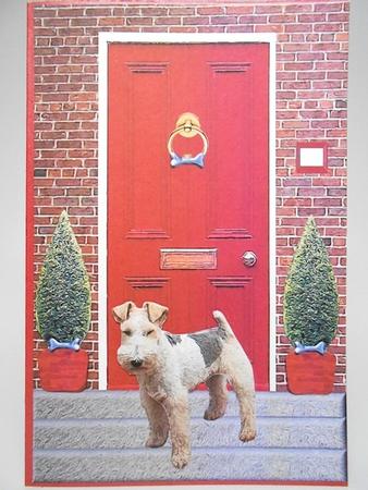 Fox Terrier,wire Haired,with a Red Door by Elena Pavlova