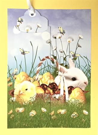 Cute Easter Bunny and Chick Bookmark Card by Elena Pavlova