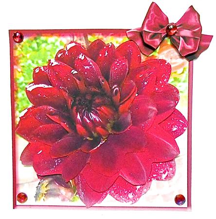 Chocolate Dahlia by Elena Pavlova