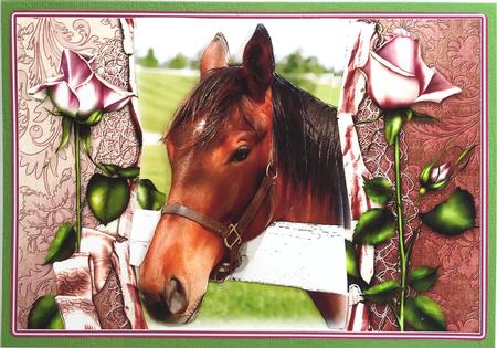 Horse Portrait by Elena Pavlova