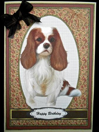 Beautiful King Charles Spaniel in Pyramarge by Elena Pavlova