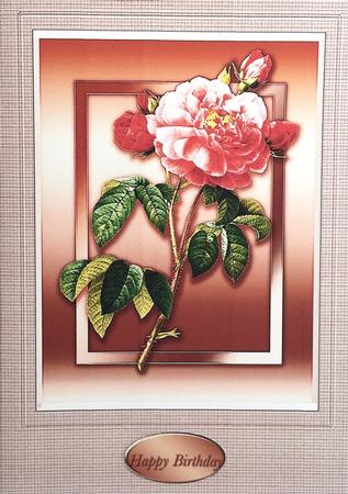 Red Roses Quick Card by Elena Pavlova