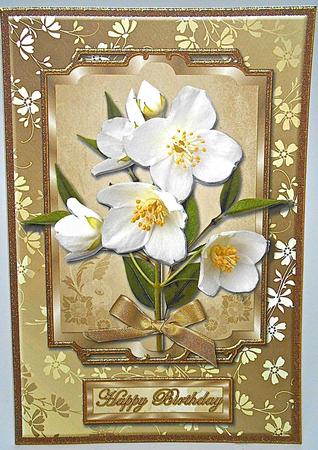 White Flowers and Gold Card Front by Elena Pavlova