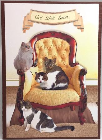 The Easy Life of Cats Card Front by Elena Pavlova