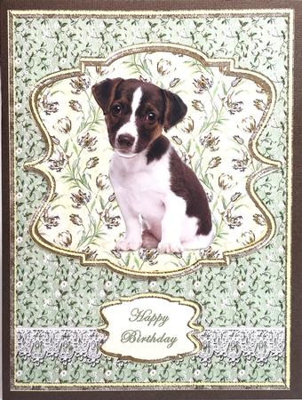 Jack Russell Pup by Elena Pavlova