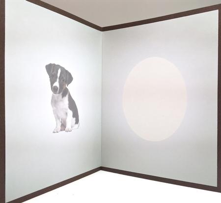 Jack Russell Insert by Elena Pavlova