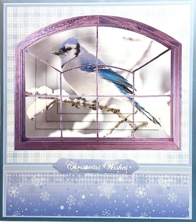 Blue Jay Through the Window by Elena Pavlova