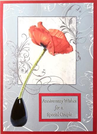 Red Poppy on Grey Swirl Step by Step by Elena Pavlova