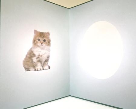 Cute Kitten Insert by Elena Pavlova