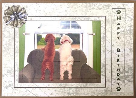 2 Dogs at the Window by Elena Pavlova